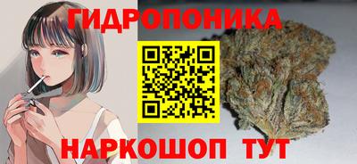 дмт Донской