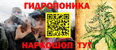 дмт Донской