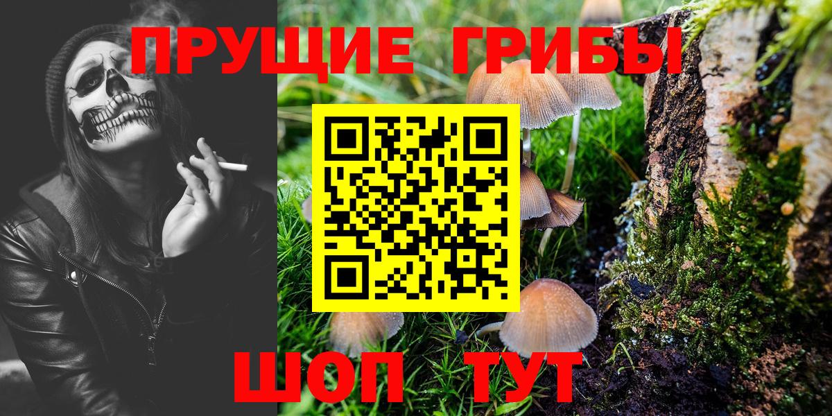 Псилоцибиновые грибы GOLDEN TEACHER Лесной