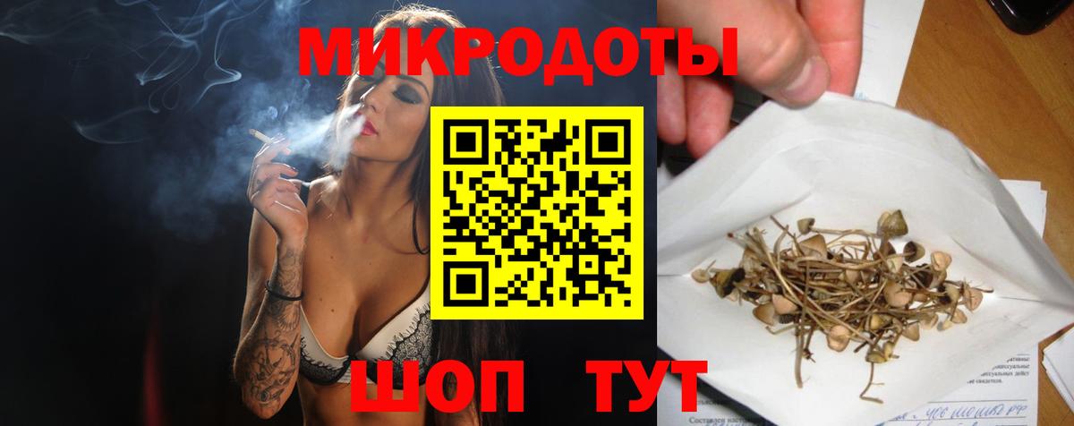 где можно купить наркотик  Вход с VPN  Лесной  Псилоцибиновые грибы Psilocybe 