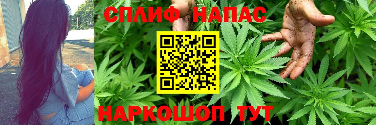 Каннабис White Widow Лесной